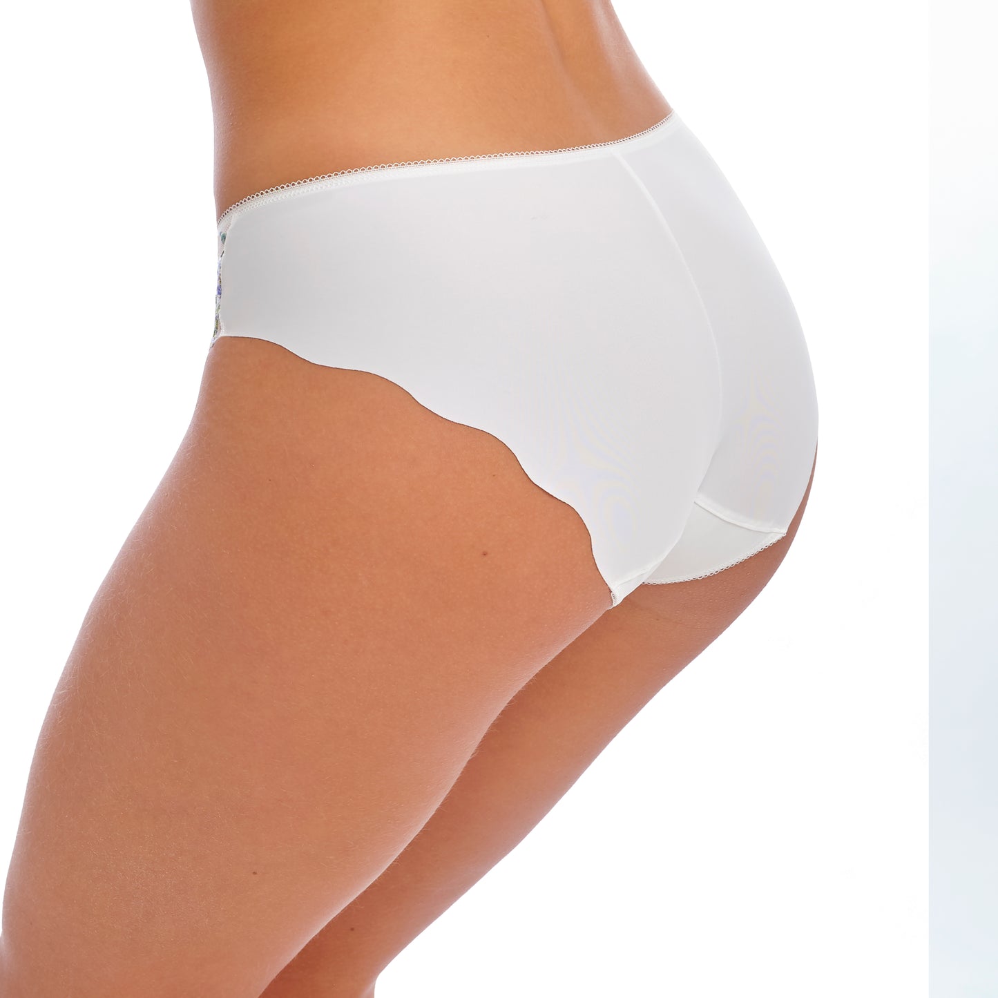 Aurelia Brief