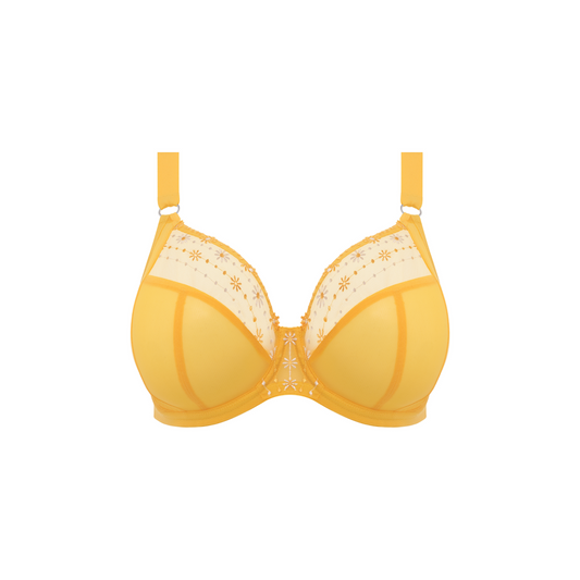 Matilda Plunga Bra
