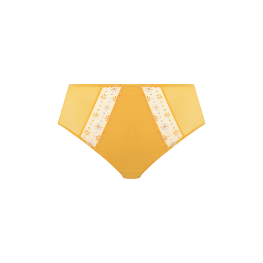 Matilda Full Brief